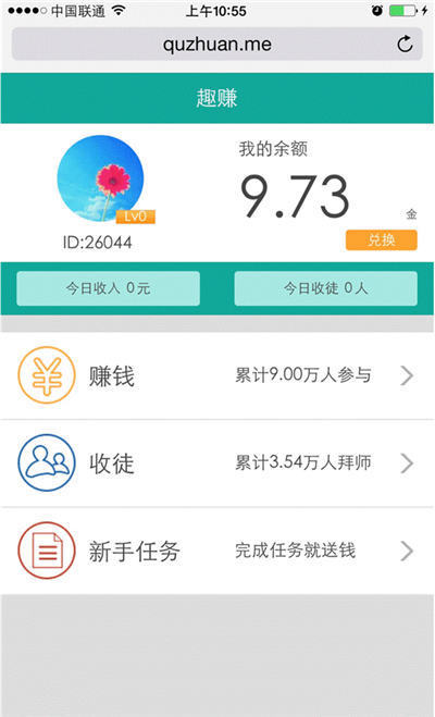 做什么调查问卷赚钱，探索网络问卷调查的收益与可能