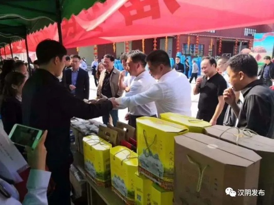 汉阴创业新机遇，特色农业、生态旅游与电商新篇