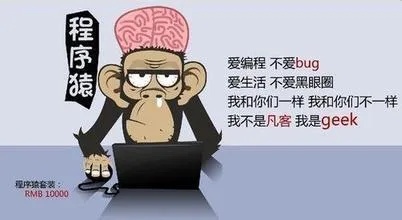 探索编程收益，多个高回报领域的实践路径