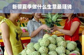 新疆夏季做什么生意最赚钱