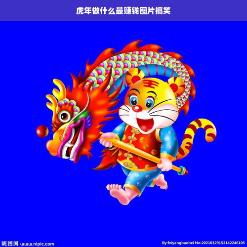虎年做什么最赚钱图片搞笑