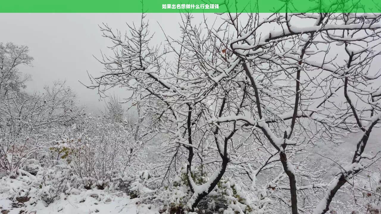 出名后如何选择行业与追求财富之路