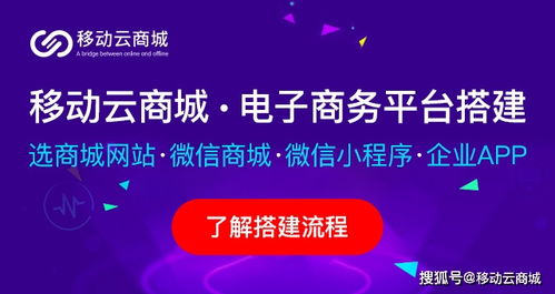 羊小咩便荔卡额度提现攻略，额度大小揭秘及提现流程