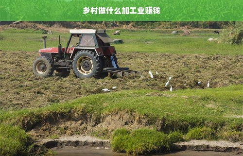 乡村做什么加工业赚钱