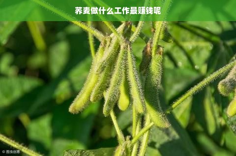 墨尔本独领风骚的网红厨具品牌，创意与实用的完美结合