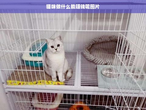 江苏户外便携酒壶品牌精选指南