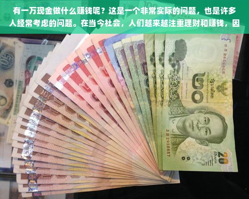 化妆品冰箱品牌排行解析