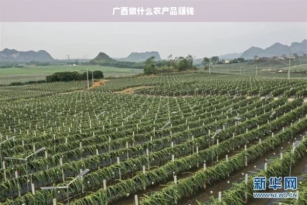 气质天气面膜推荐指南，选对面膜，让肌肤与季节共舞