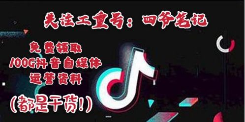 揭秘木工高端数控机床领域的领军品牌—品质与技术的完美结合