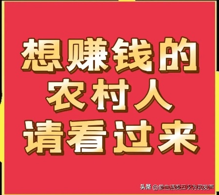 农村做什么最省钱又赚钱