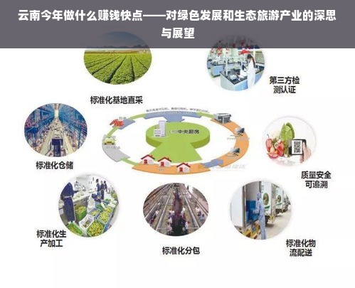云南今年做什么赚钱快点——对绿色发展和生态旅游产业的深思与展望
