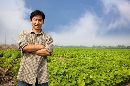 在农村做什么视频赚钱呢？