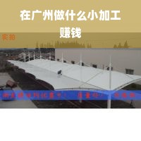 广州小加工项目，商机无限，多元发展