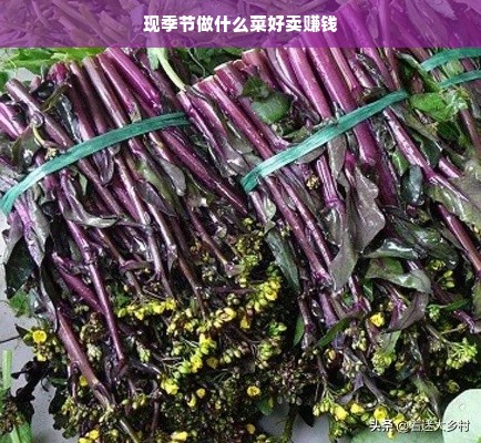 现季节做什么菜好卖赚钱