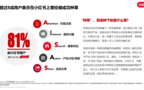 运营小红书赚钱，如何选择并实践正确的策略