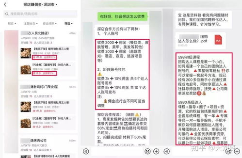 雷州职业指南，探索多元就业机会