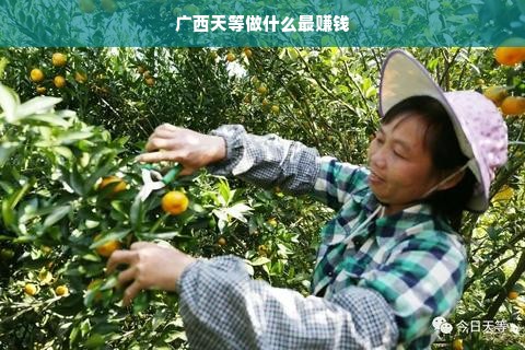 鹿优选先享卡额度提升攻略，商家提现速度揭秘及涨额技巧