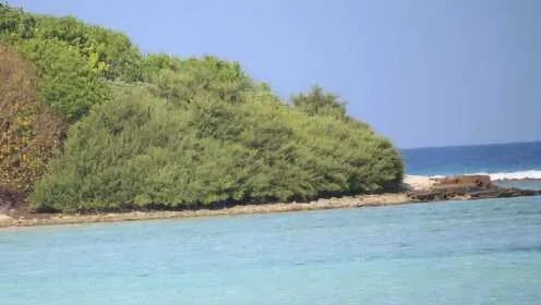 海岛生活，多元职业选择，尽享独特风情