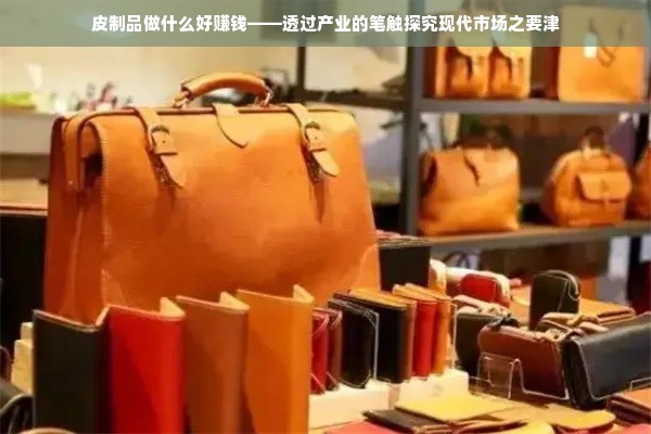 皮制品做什么好赚钱——透过产业的笔触探究现代市场之要津
