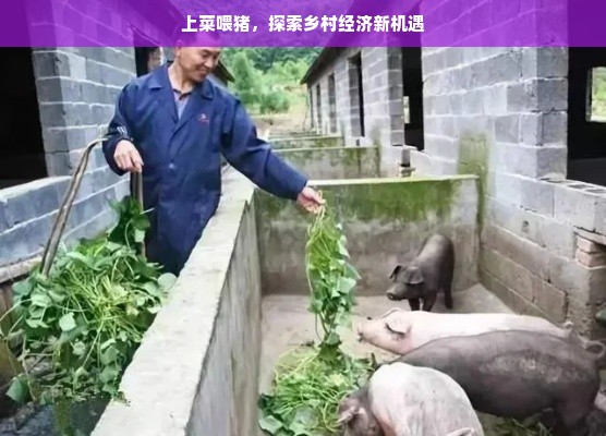 京东白条额度的妙用与风险—如何巧妙利用白条，以及为何突然降低？