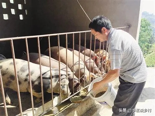 低调奢华，小众男专属汉服戒指品牌推荐