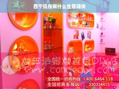 西宁现在做什么生意赚钱