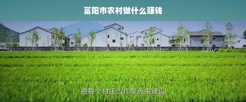 江门咸蛋黄品牌厂家电话，一站式了解咸蛋黄的生产与选购