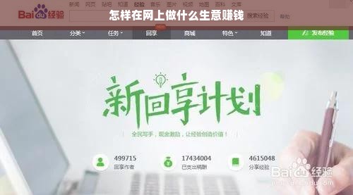 安全使用鹿优选额度，避免踩坑指南
