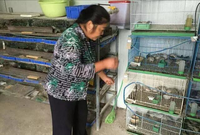 花呗转余额宝真的可以提现吗？一文全搞懂