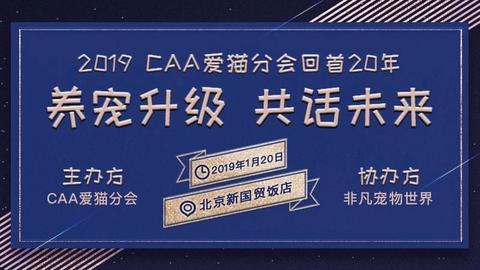 京东白条收款提现攻略，哪里提现？多久到账？
