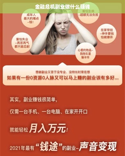 金融危机副业做什么赚钱