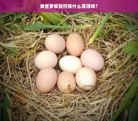 鹿优选额度提现商家攻略，如何快速提升鹿优选购物额度