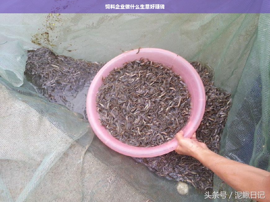 饲料企业做什么生意好赚钱