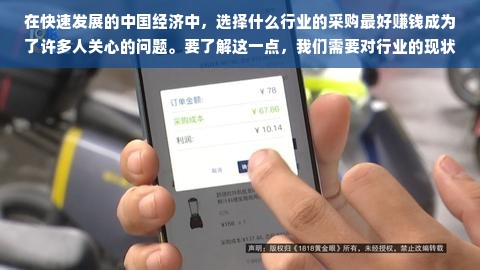 在快速发展的中国经济中，选择什么行业的采购最好赚钱成为了许多人关心的问题。要了解这一点，我们需要对行业的现状和前景有深入的认知。不同的行业、产品与市场环境下，采购的价值链及盈利能力也存在显著的差异。在此，我们将以三个核心领域——消费品、信息技术以及医疗行业作为代表，深入解析做什么行业的采购最赚钱，同时也将考虑到市场的稳定性、创新性、可持续性等多个方面。