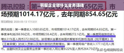 羽耀企业做什么业务赚钱
