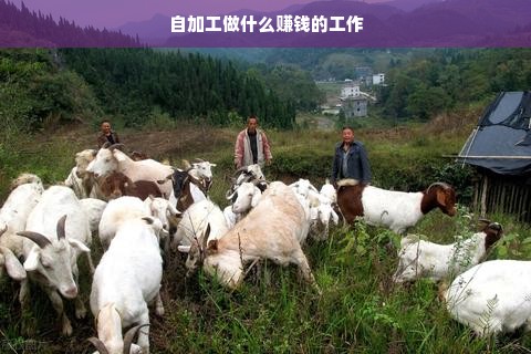 自加工行业潜力巨大，从食品加工到手工艺品制作，赚钱机会多