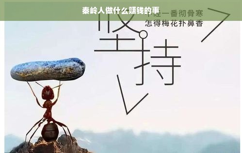 秦岭人做什么赚钱的事