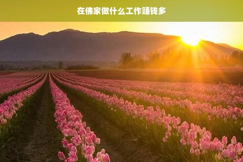 揭秘Fujiaa母婴品牌，品质与信赖的完美结合