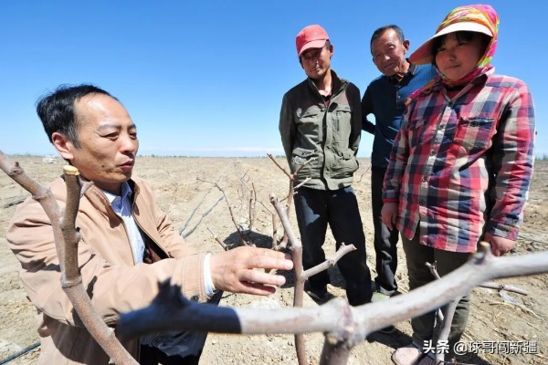 鹿优选先享卡额度调整攻略，商家如何轻松提升提现额度？