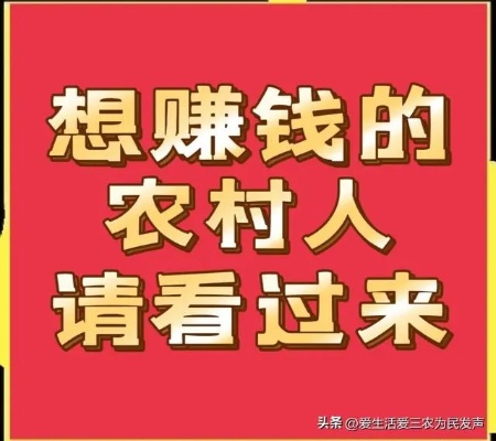 农村创业低成本盈利路径探索