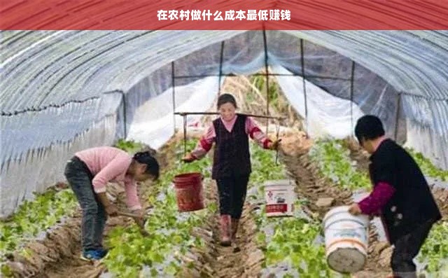 在农村做什么成本最低赚钱