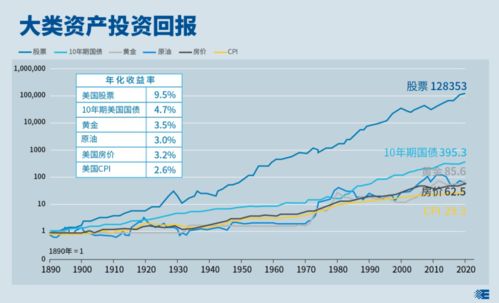 维吾尔医药品牌，传承与创新共融的璀璨明珠