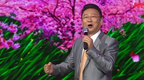 盘点平价又好看的夏款汉服品牌，让你轻松穿出古风韵味！