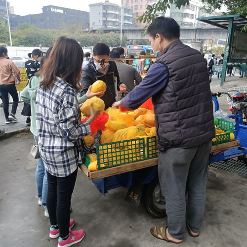 盘点国产平价厨具品牌，性价比之选让你轻松下厨