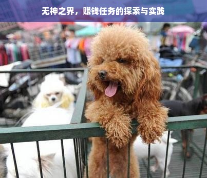 《无神之界》金币赚取指南，任务与挑战的财富之旅