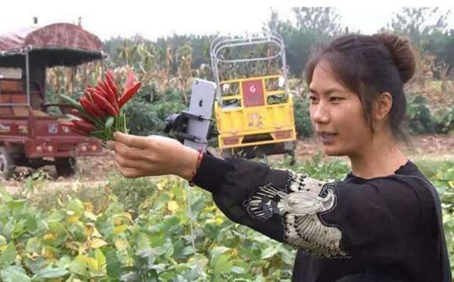 羊小咩便荔卡包额度使用指南，超额度应对策略与实操案例