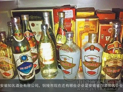 中医药品牌主题馆，传承与创新共融的璀璨世界