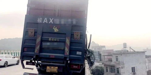 单字卡，微观与宏观之间的桥梁