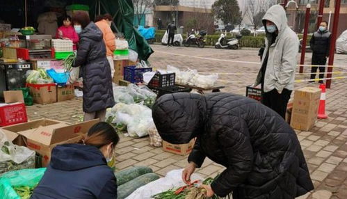 成都家居系统品牌概览