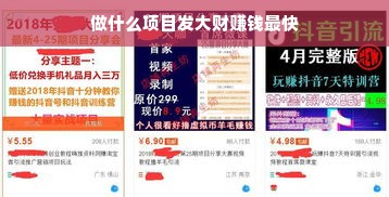 做什么项目发大财赚钱最快